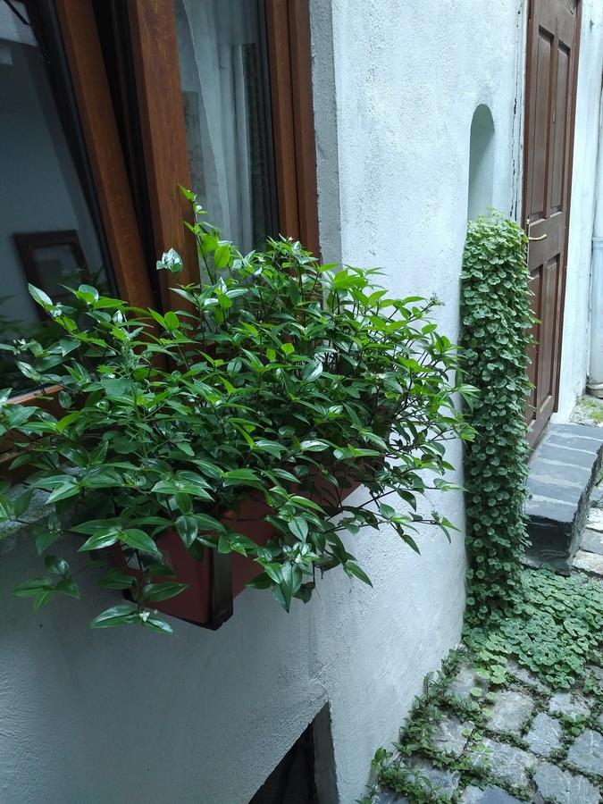 Guesthouse Postavarului Braşov Exterior foto